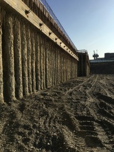 IMG 0036